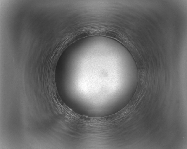 X0000079311153200611170847