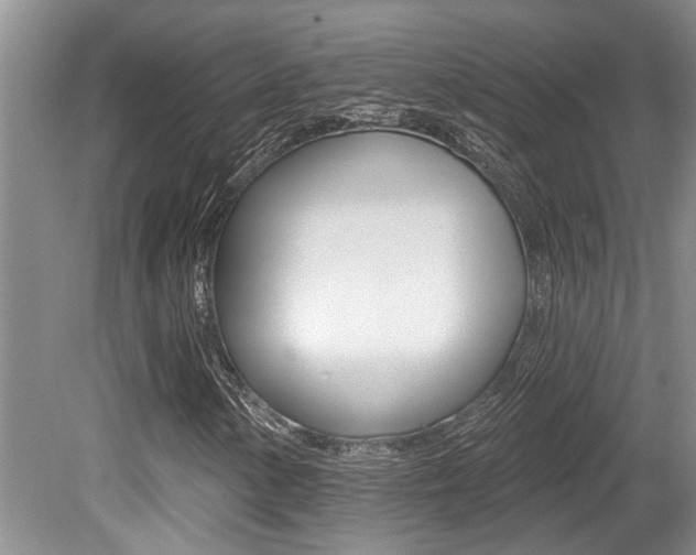 X0000079311154200611170847