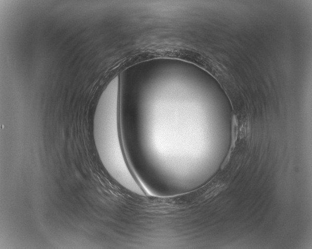 X0000079311156200611170847