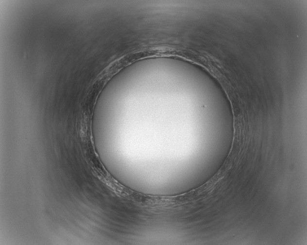 X0000079311158200611170847