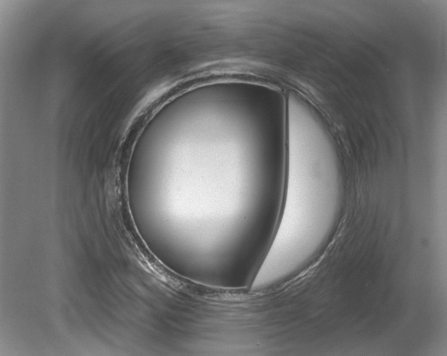 X0000079311164200611170847