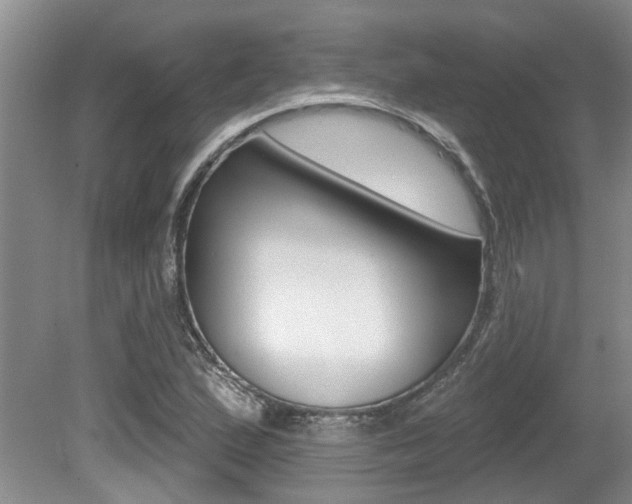 X0000079311167200611170847