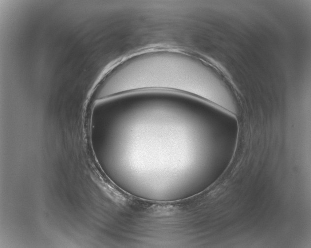 X0000079311168200611170847