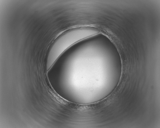 X0000079311169200611170847