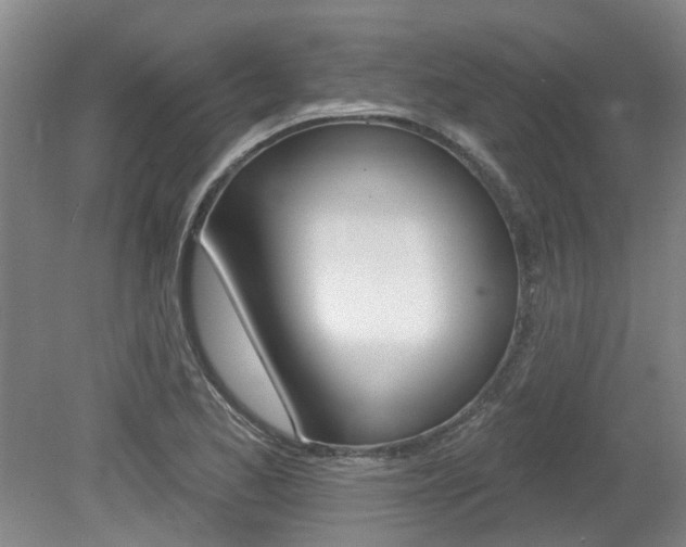 X0000079311173200611170847