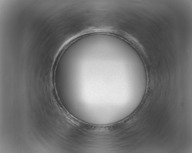X0000079311174200611170847