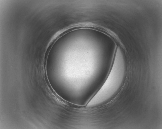 X0000079311176200611170847