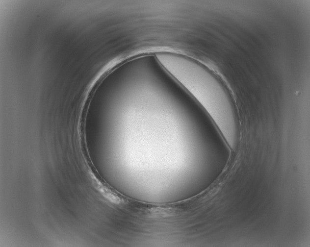 X0000079311181200611170847