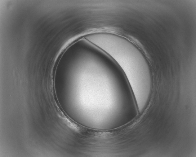 X0000079311184200611170847