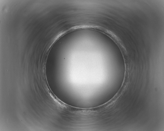 X0000079311185200611170847