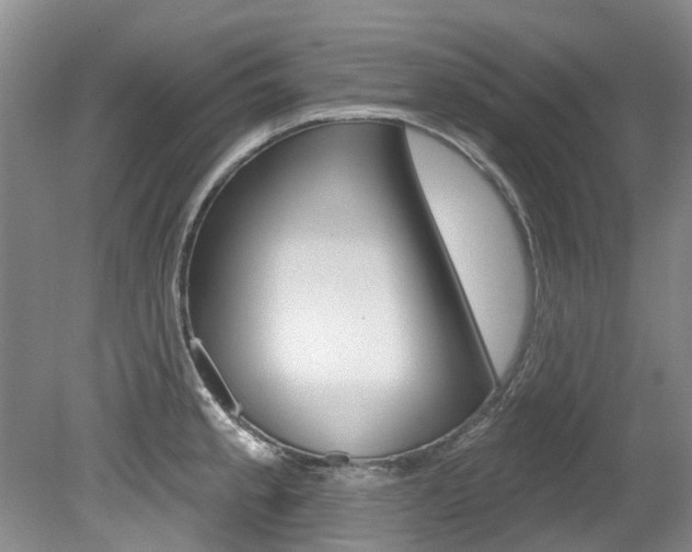 X0000079311189200611170847