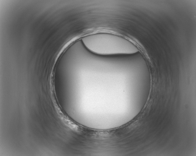 X0000079311190200611170847