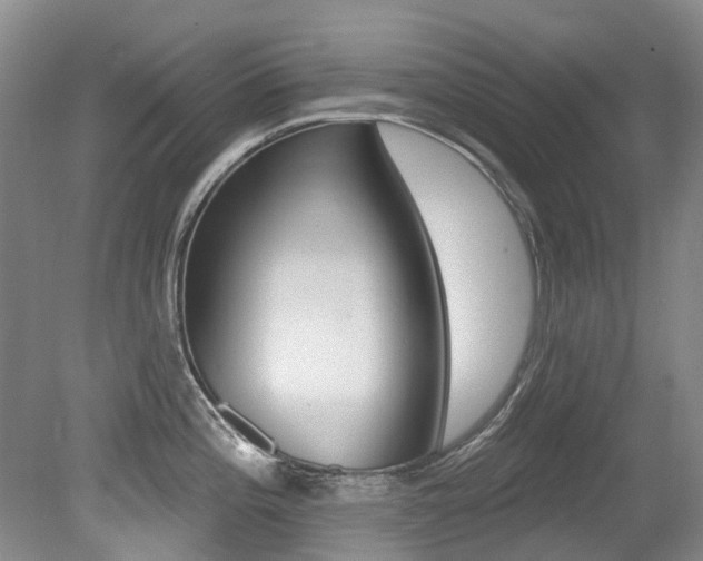 X0000079311196200611170847