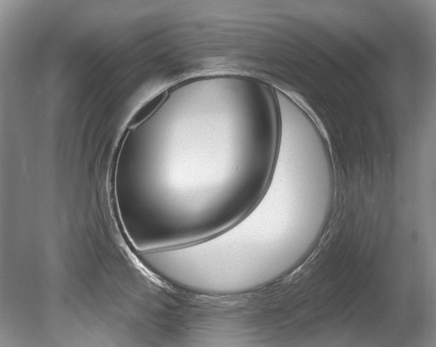 X0000079311197200611170847