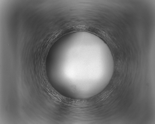 X0000079311201200611170846