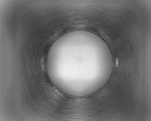 X0000079311203200611170846