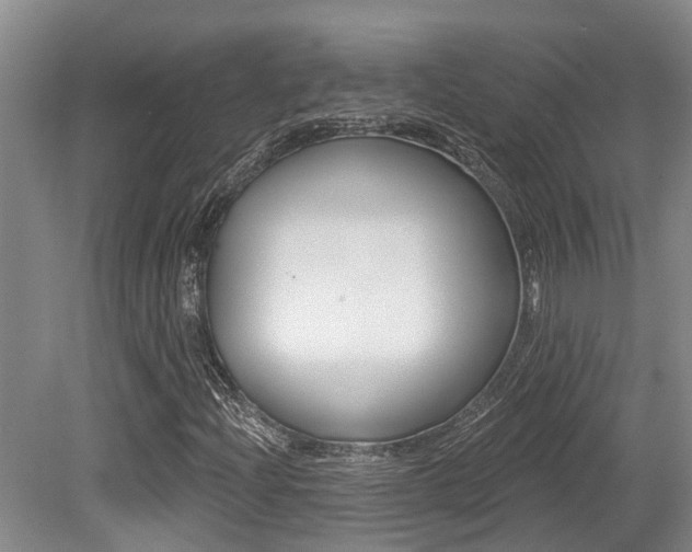 X0000079311204200611170846