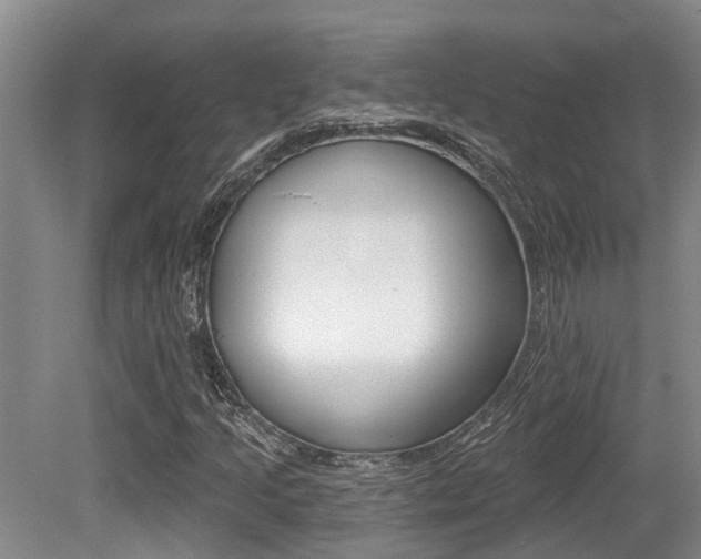 X0000079311205200611170846
