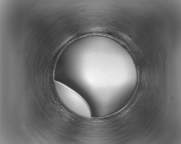X0000079311209200611170846