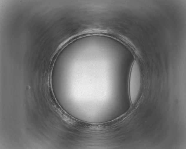 X0000079311220200611170846