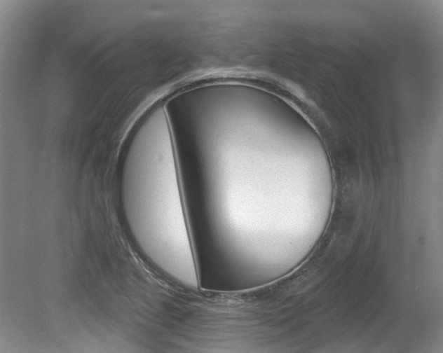 X0000079311221200611170846
