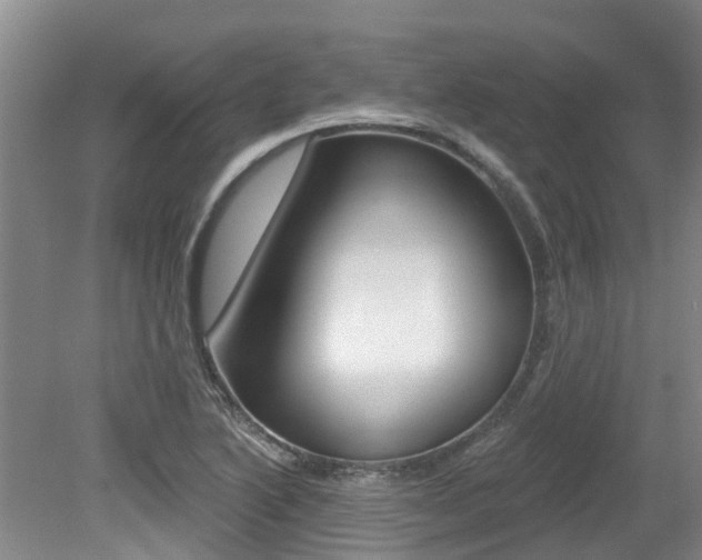 X0000079311222200611170846