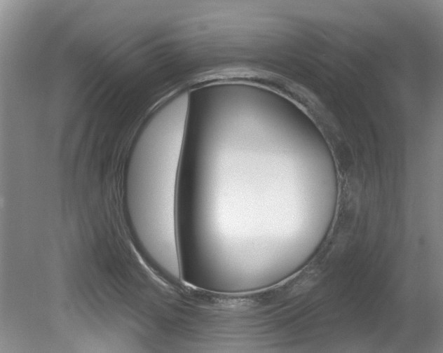 X0000079311225200611170846