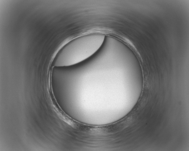 X0000079311227200611170846