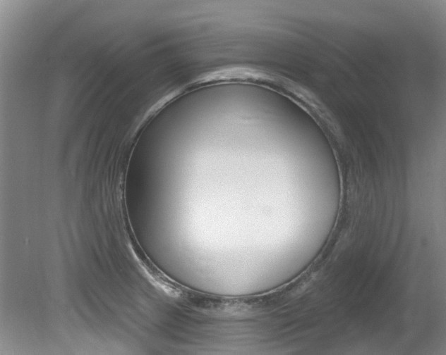 X0000079311233200611170846