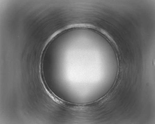 X0000079311237200611170846