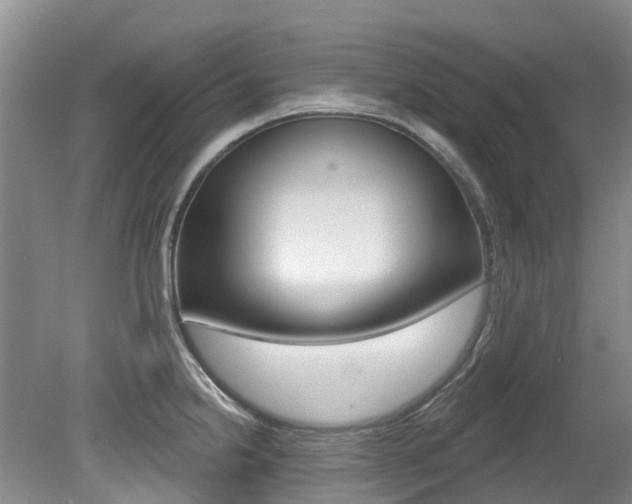 X0000079311238200611170846