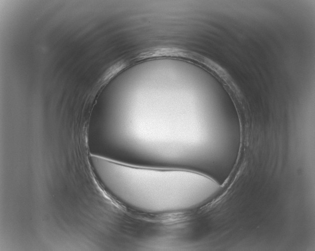 X0000079311241200611170846