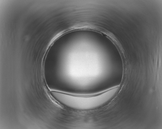 X0000079311242200611170846