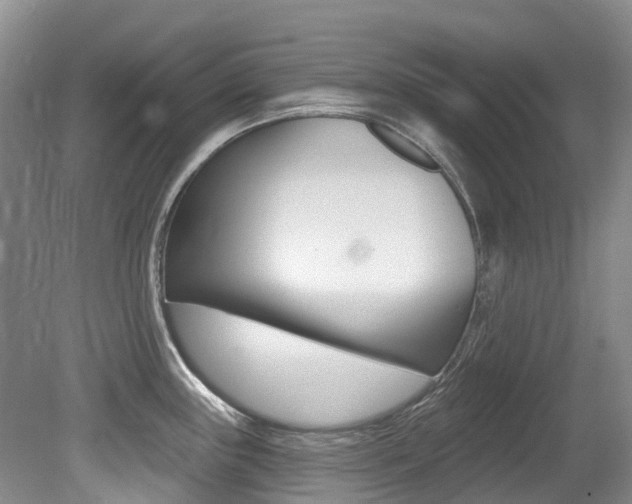 X0000079311243200611170846