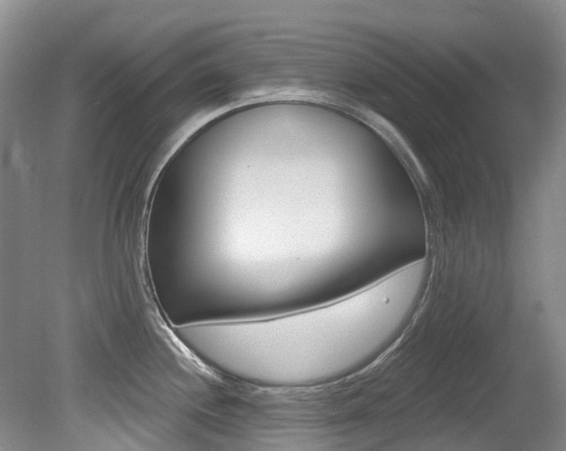 X0000079311244200611170846