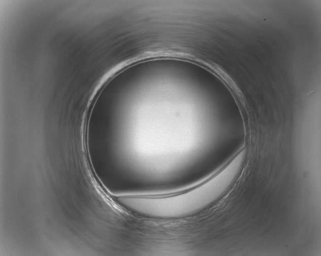 X0000079311246200611170846
