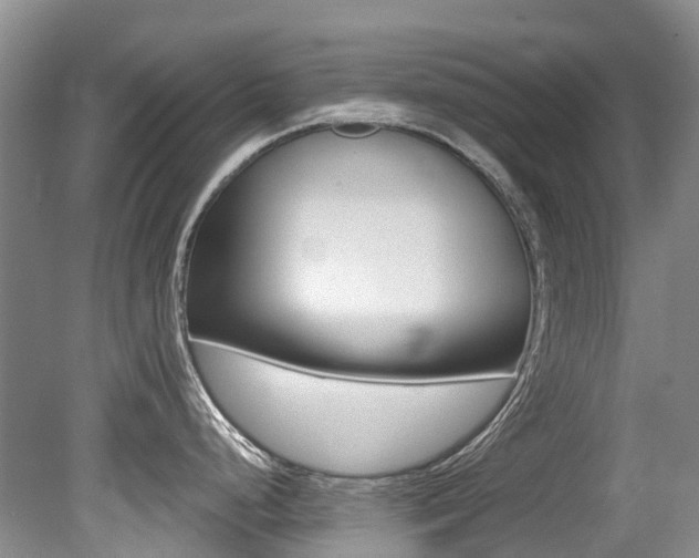 X0000079311248200611170847
