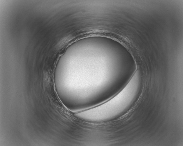 X0000079311257200611170846