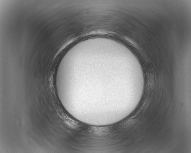 X0000079311258200611170846