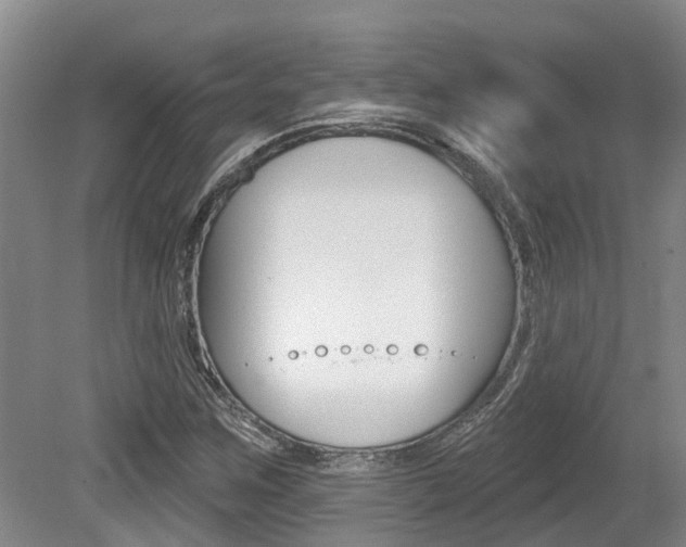 X0000079311259200611170846