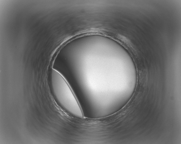 X0000079311260200611170846