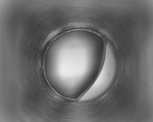 X0000079311261200611170845