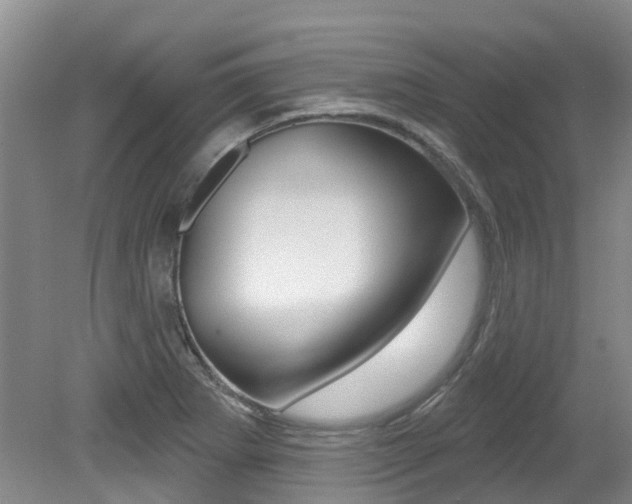 X0000079311273200611170845