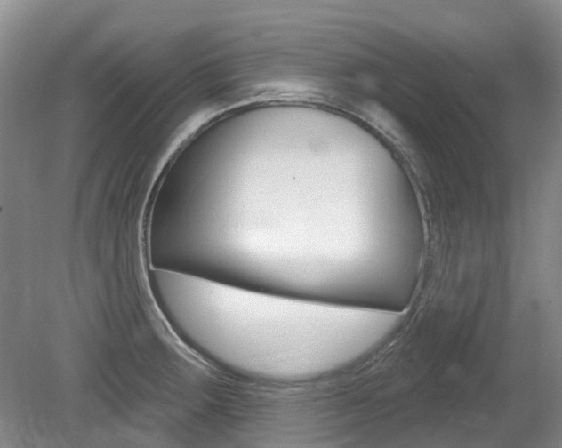 X0000079311283200611170845