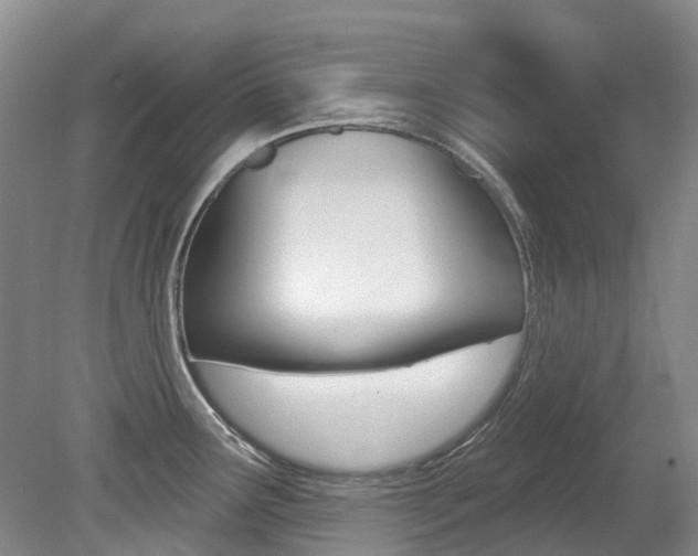 X0000079311291200611170845