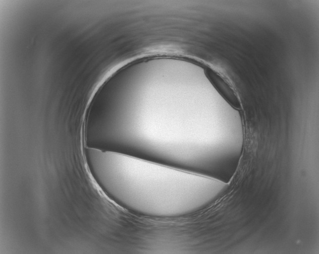 X0000079311295200611170845