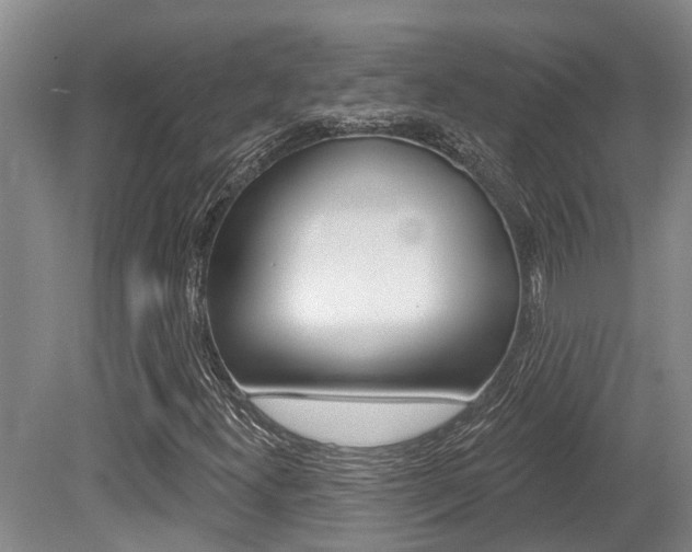 X0000079311300200611170844