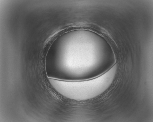 X0000079311304200611170844