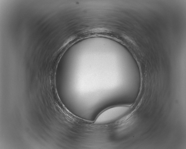 X0000079311305200611170844