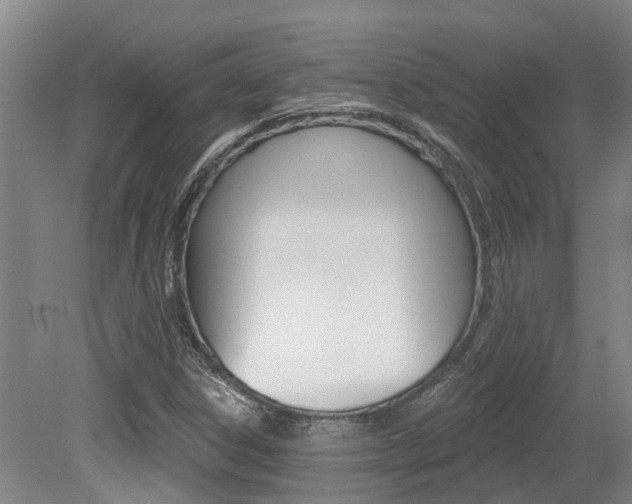 X0000079311306200611170844